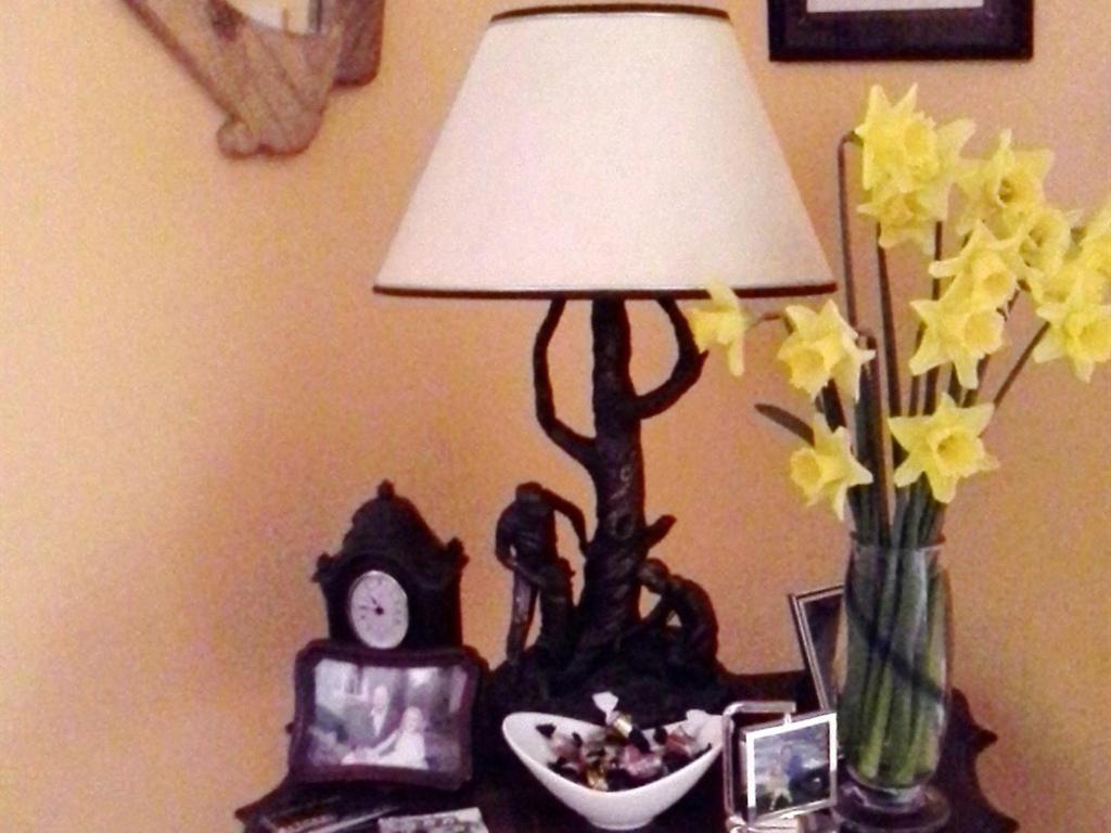 Blossom Hill Bed And Breakfast Killaloe Exteriér fotografie
