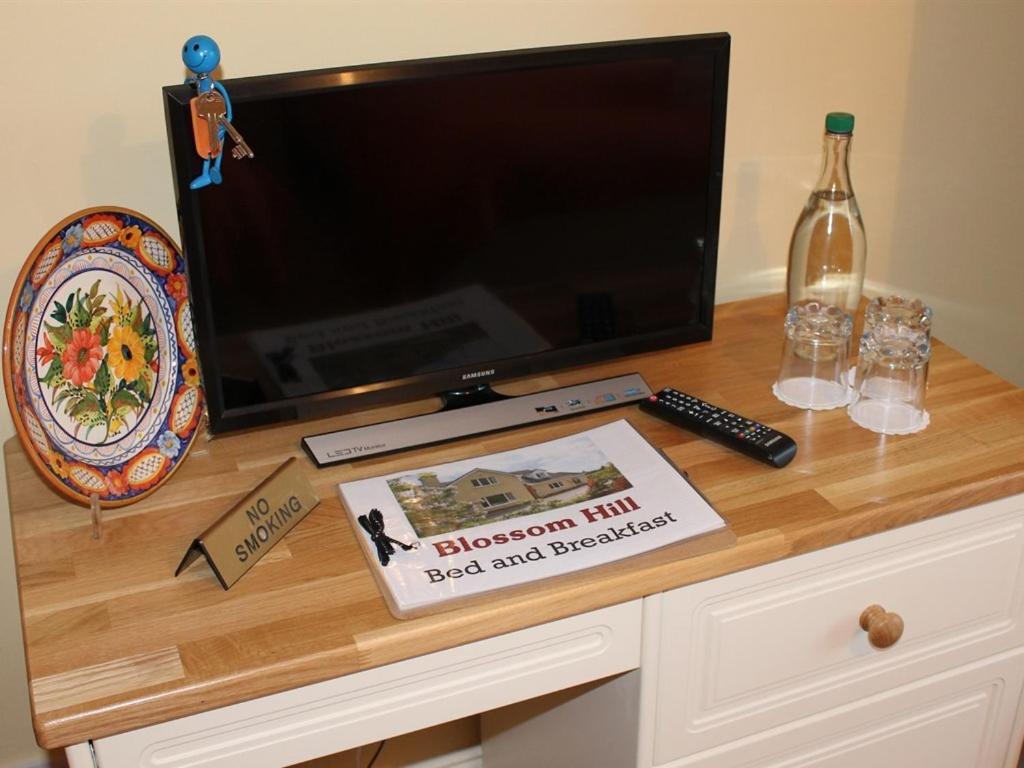 Blossom Hill Bed And Breakfast Killaloe Exteriér fotografie