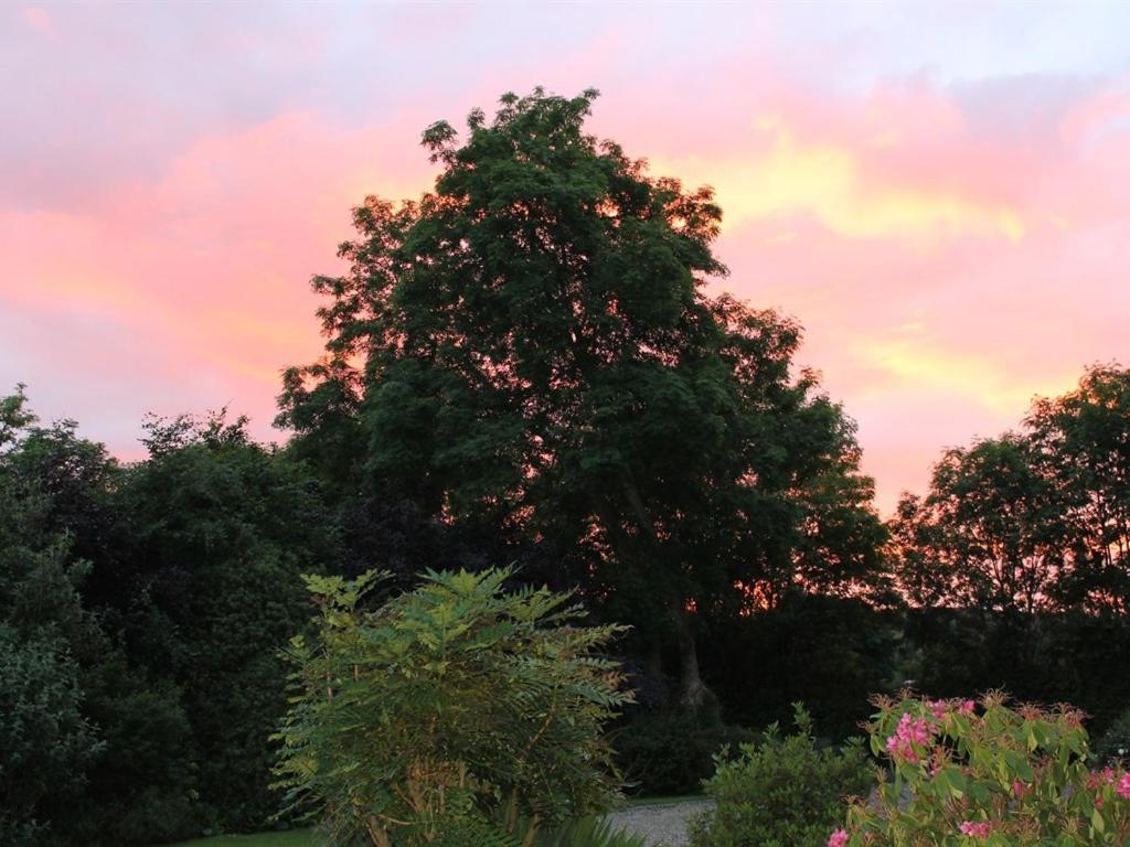 Blossom Hill Bed And Breakfast Killaloe Exteriér fotografie