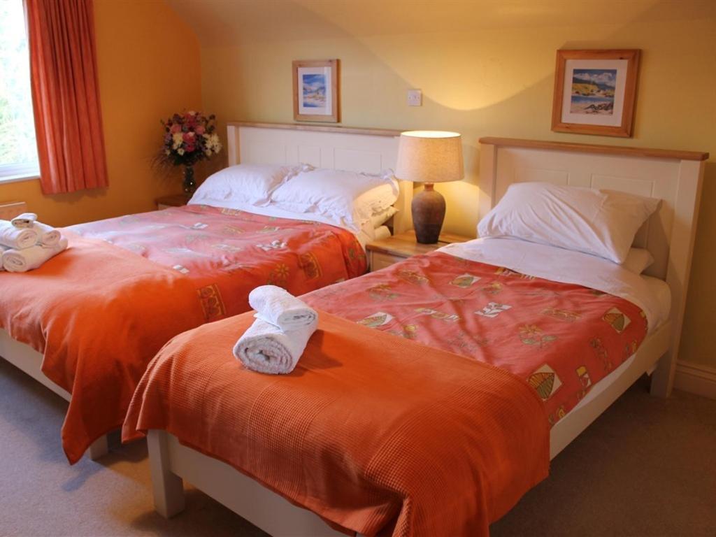 Blossom Hill Bed And Breakfast Killaloe Exteriér fotografie