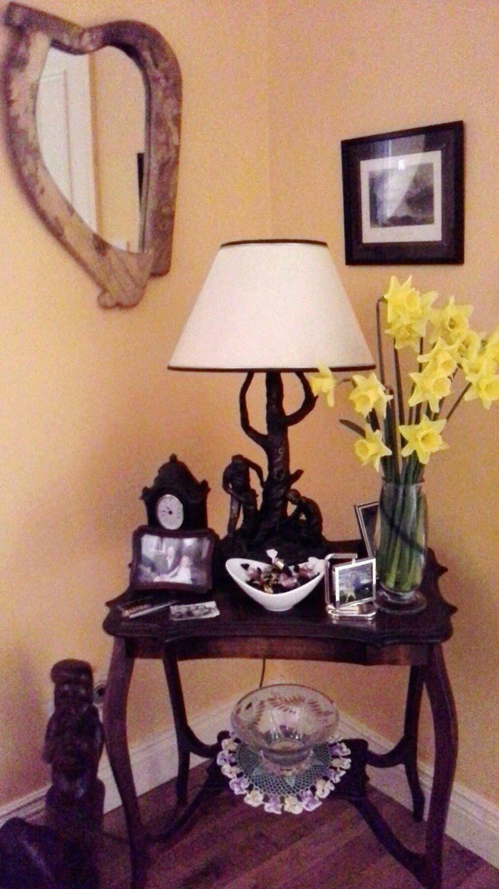 Blossom Hill Bed And Breakfast Killaloe Exteriér fotografie